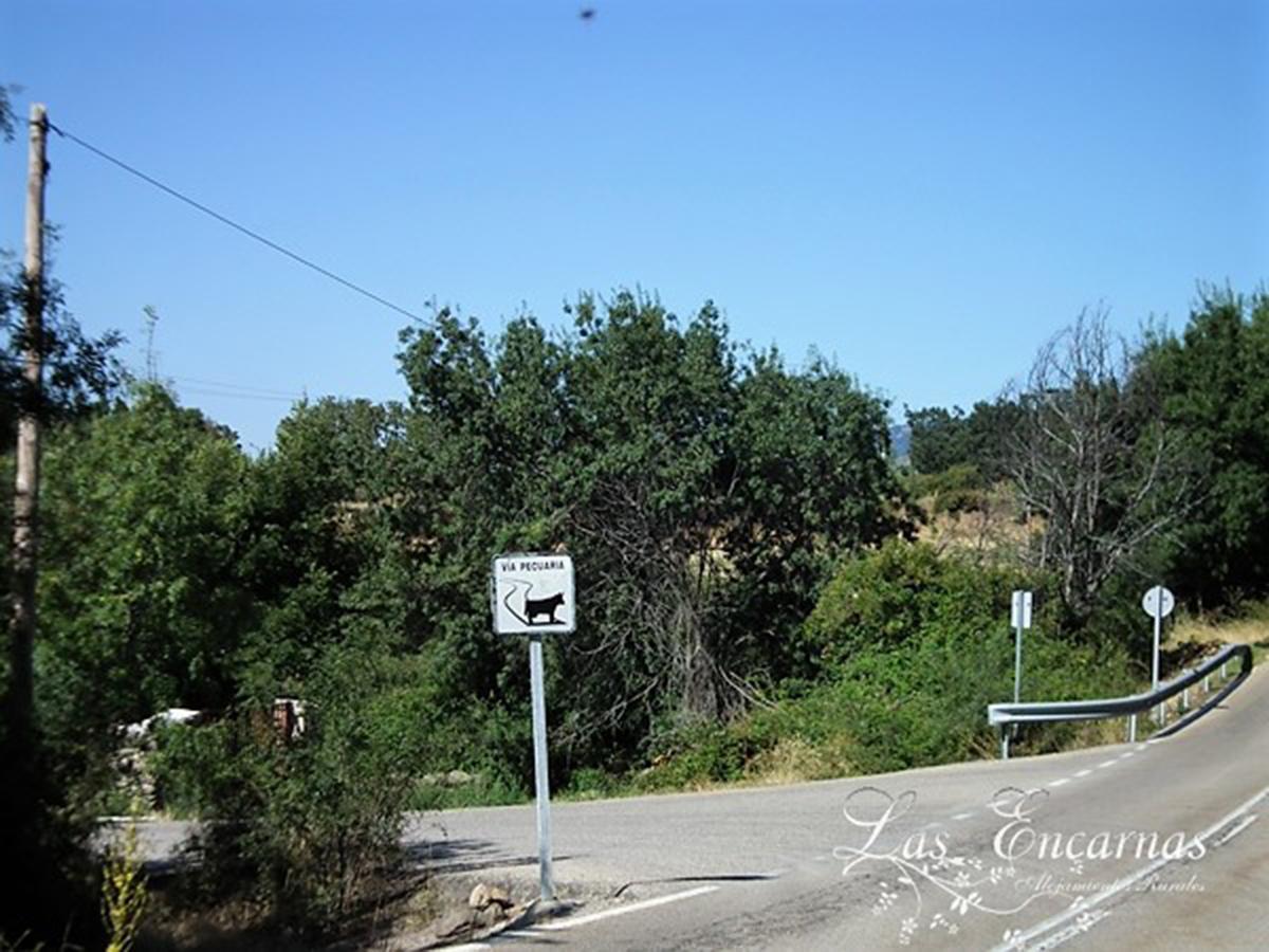 Las Encarnas Braojos de la Sierra エクステリア 写真